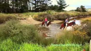 Matakana, Auckland Region, New Zealand - 1080 HD