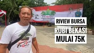 VIDEO 73 || REVIEW BURSA BONSAI YANG ADA DI ALUN ALUN KOTA BEKASI RUBI