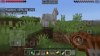 Minecraft Survival Series Ep 5 || No Commentary