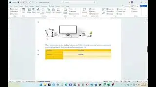 How to Use Different Page Numbers in MS Word | Roman Numerals, Custom Starts & Section Breaks
