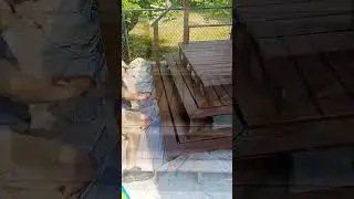Staining a wooden deck with Benjamin Moore Arborcoat translucent oil-based stain #benjaminmoore