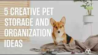 5 Creative Pet Storage & Organization Ideas