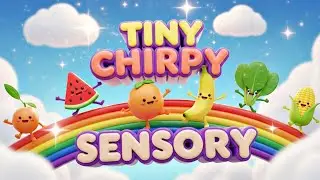 Baby Sensory Fun Animation and Upbeat Music - Low Stimulation Sensory Video for Toddlers
