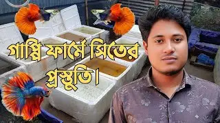 গাপ্পি ফার্মে শীতের প্রস্তুতি | Winter Care Tips for Guppy Fish Farming | Rakhal Agro