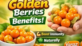 Golden Berries Benefits: Boost Immunity & Natural Antimicrobial Power @Yaraz-y 