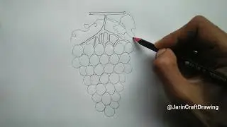 How To Draw Grapes Step By Step| Easy Grapes Drawing| @JarinCraftDrawing