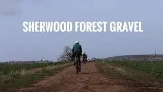Gravel cycling in Sherwood Forest