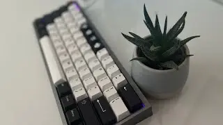 Tofu 60 Glorious Lynx Sound Test