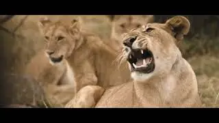 Luxury Tanzania Safari Tours  Travel for 2025