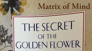 Intro to Meditation & Waking up: Turning the Light Around 3/14/24