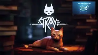 Playing Stray on Intel UHD 620 iGPU