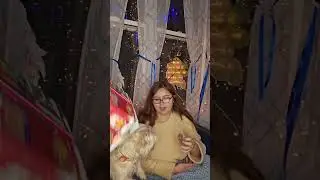 Bark Box Season's Sweetings Advent Calendar Day 20 #adventcalendar #barkbox #dog