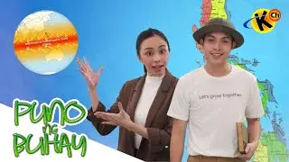 Factors Affecting Climate | Puno ng Buhay