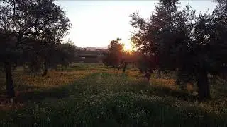 Cultural Indian Village Background Music: A Journey Through Sound