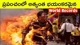 ప్రపంచంలోని అత్యంత భయంకరమైన World Record లు| Most Dangerous world Records In Telugu|FactzBy Niharika