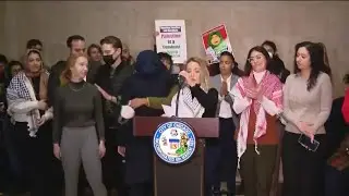 Concejales de Chicago piden un alto al fuego en Gaza