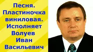 1242.3.В.Ю.ВИДЕО. Песня. Пластиночка виниловая. Исполняет Волуев И.В.