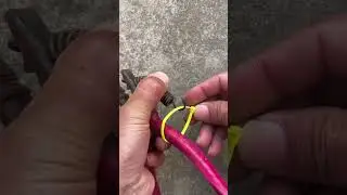 New Handmade Ox Horn Pliers #ideas #shorts #pliers #plash