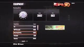 Black Ops 2 Final Combat Record - I'M A BEAST