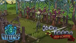 [HCIM Blind] Wine Making. Is This Our Destiny?!