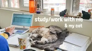 STUDY/WORK WITH ME & my cat (with music) | 1 hour Real Time