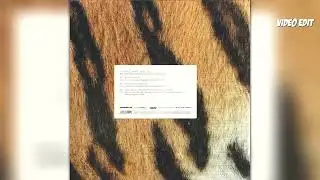 VA / UY Diary, Vol 5 Compiled & by Marco Resman / MDJVE