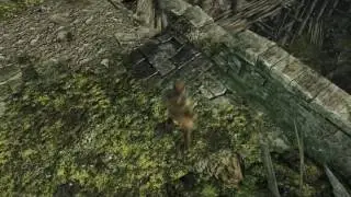 Dark souls 2 SOTFS cardinal tower shortcut jump in detail.