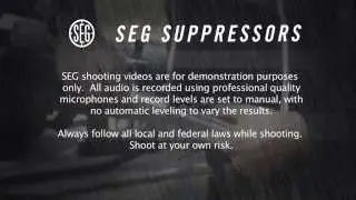 SEG Suppressors Independence Silencer on Sig Sauer Mosquito 22 Suppressed .22cal 8 of 15