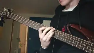 The Smiths &ndash; Wonderful Woman (bass cover)