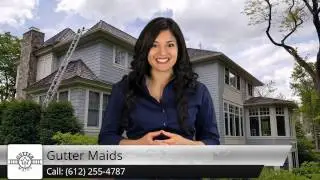 Gutter Cleaning Edina MN