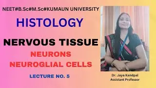 NERVOUS TISSUE#NEURONS#NEUROGLIAL CELLS#HISTOLOGY#NEET#B.Sc &M.Sc KUMAUN UNIVERSITY 