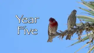 Eco-Heart Alliance... 5 years