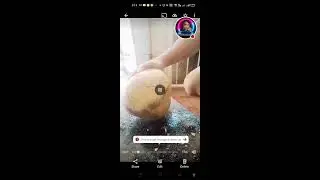KUYA BATTI is live! FRESH COCONUT JUICE FOR RECIPE