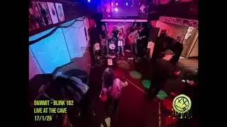 Dammit - Blink 182 cover by LimeWired 