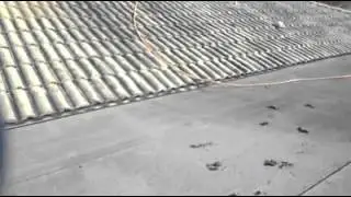 Dog Poop on the Roof?