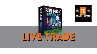 Livetrade - Real Magic Robot - Tradingheroes 24