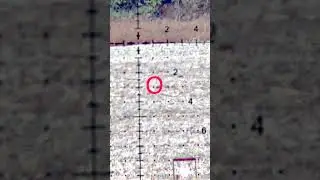 .22lr Shot at 200Yards