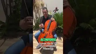 Violoncelo Mavis