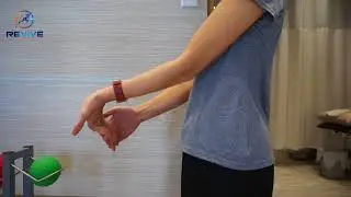 Wrist Flexor and Extensor Stretching