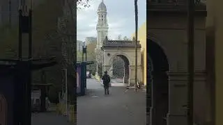Come with me for a walk from Grafton to Parnell #walkingcity