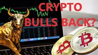 Crypto News,  Bitcoin Pumps..Tesla?, Bulls Back?, BTC Upgrade, Accumulation, Whales, ECB, Russia