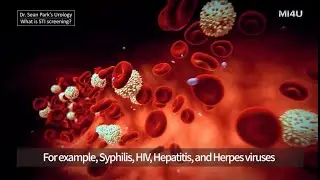 [What is STI Screening?] How is STD & STI Screening Done?_STD Testing_Urology in Seoul