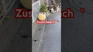 ZUSHI Beach 🏖️ #japan #travel #jdm #youtubeshorts #beach #vacation