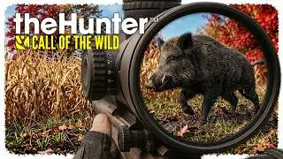 🦌 Dzik jest dziki, dzik jest zły..! [Hirschfelden] 😝 theHunter: Call of the Wild #11 [PL] 👍