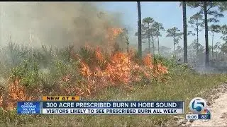 Jonathan Dickinson State Park prescribed burn