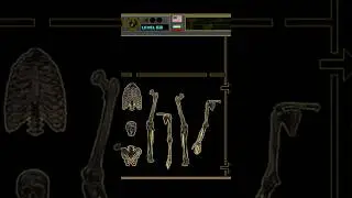 Skeleton Parts #biology  #education #games #skeleton #bones