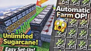 How to Make Automatic Sugarcane Farm in Minecraft (Easy + AFK) | Java & Bedrock