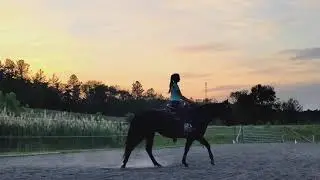 2-Gait Pleasure, Crystal Derry & Black Rose River