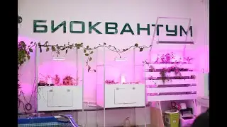 Конкурс Сити-фермер Вводное