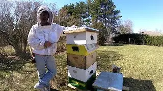Strengthening a Weak Hive with a Stronger Hive